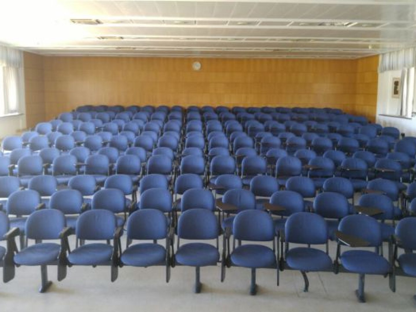 אוניברסיטת תל-אביב - טרובוביץ - משפטים - חדר 105 אולם הופין - תמונה 2