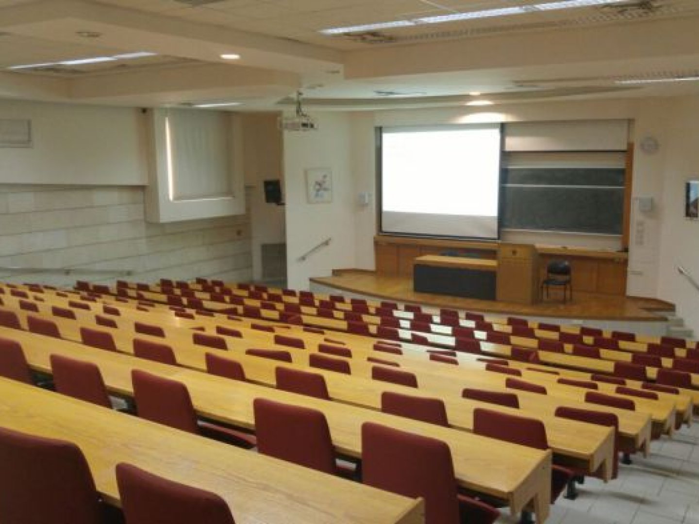 אוניברסיטת תל-אביב - סאקלר - רפואה - חדר אולם לולה - תמונה 2