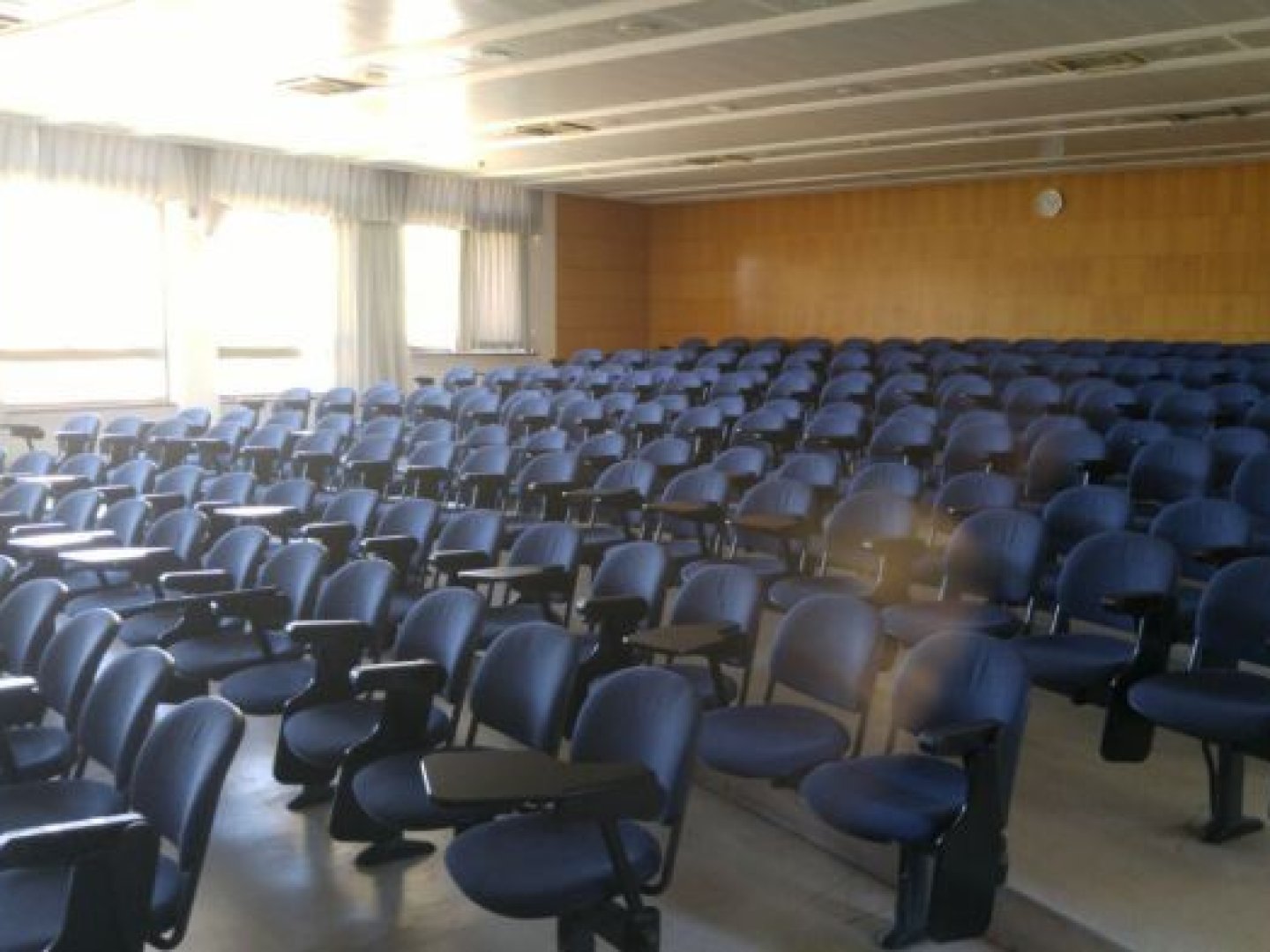 אוניברסיטת תל-אביב - טרובוביץ - משפטים - חדר 105 אולם הופין - תמונה 4